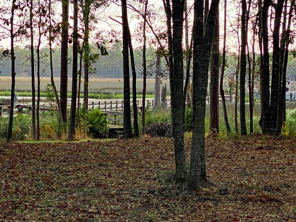 Winding River Plantation Real Estate and Homes for Sale